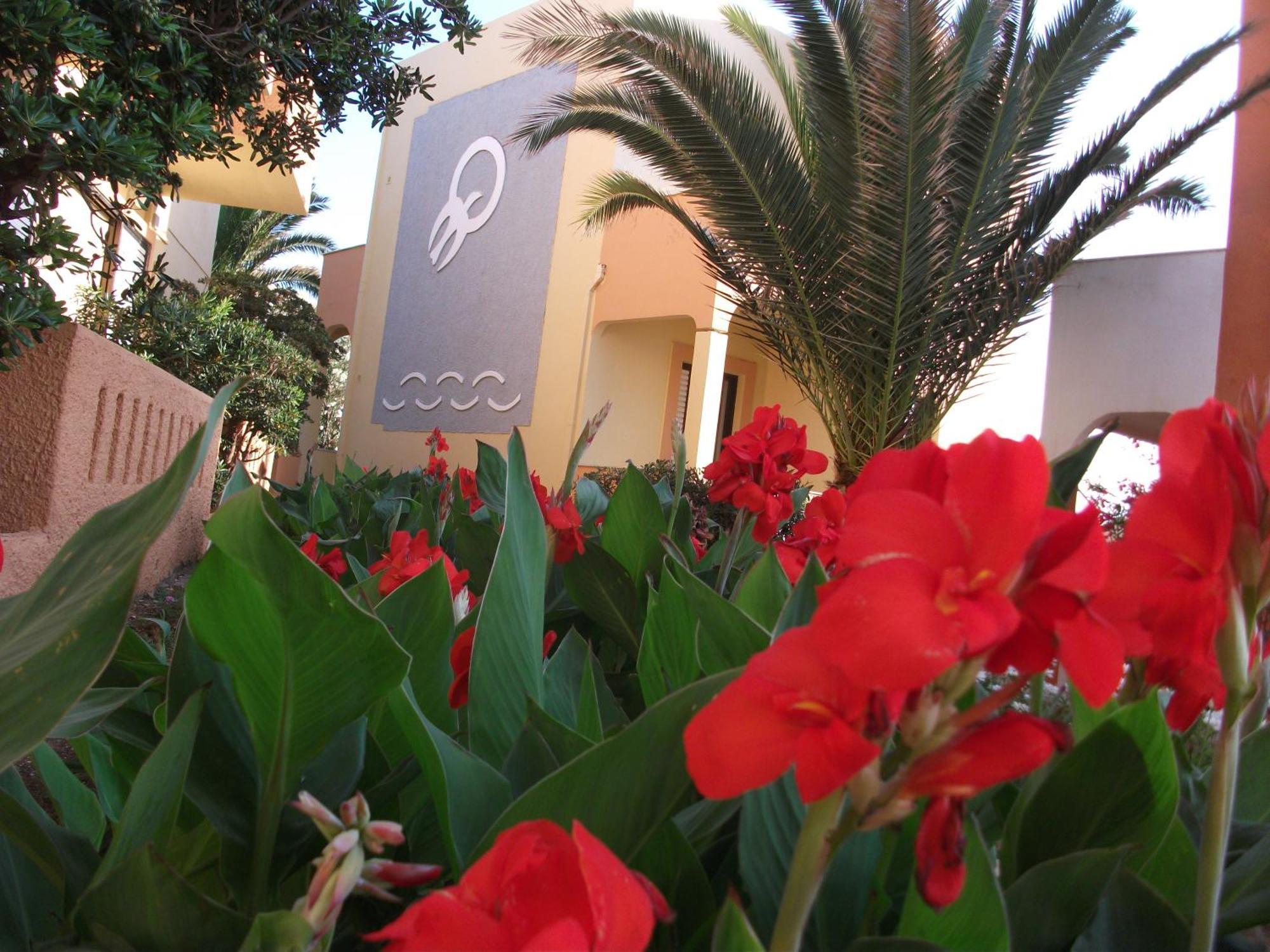 Almyra Apartments & Suites Sfáka Esterno foto